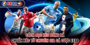Cách đọc kèo bóng đá